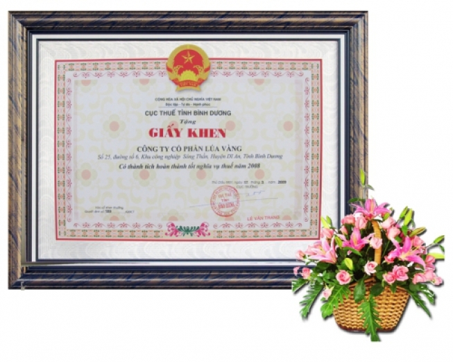 thanh-tich-cong-ty_thuenam2008_68x68_